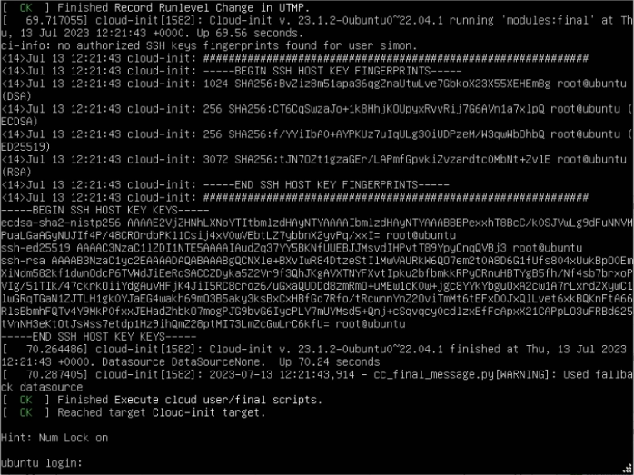 Ubuntu Login